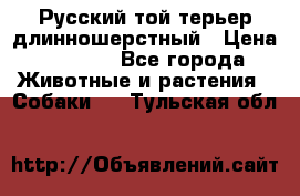 Русский той-терьер длинношерстный › Цена ­ 7 000 - Все города Животные и растения » Собаки   . Тульская обл.